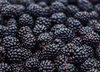 Frozen blackberries 1st grade