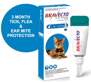 Bravecto Spot On for Cats (click on size for price)