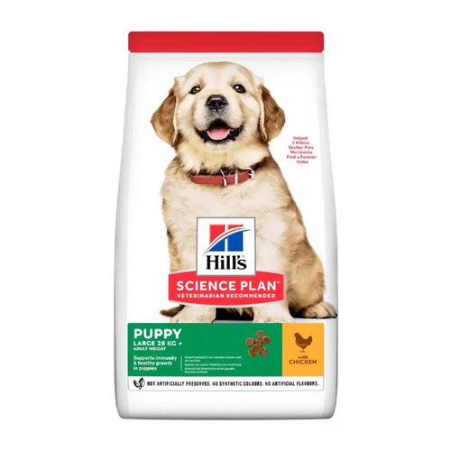 Hill's Science Plan Large Breed Puppy Food chicken (select size for price)