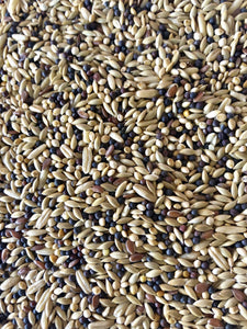 Canary Mix seed (select size for price)