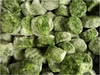 Frozen spinach cubes 1kg