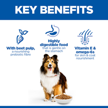 Load image into Gallery viewer, Hill's Science Plan Sensitive Stomach &amp; Skin Medium &amp; Large Breed Adult Dog Food (select size for price)