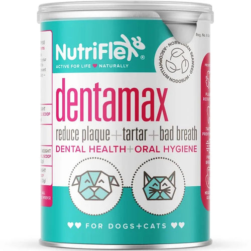 Nutriflex dentamax powder 180g