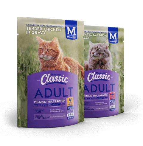 Montego Classic cat adult wet food 85g