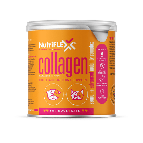 Nutriflex Advanced (click size to see prices)