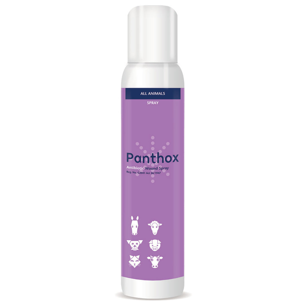 Panthox wound spray with gentian violet 200ml