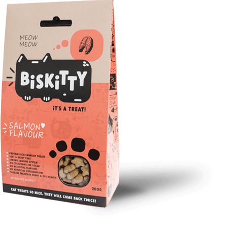 Biskitty cat biscuit treats salmon flavour 200g