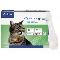 Effipro cat singles