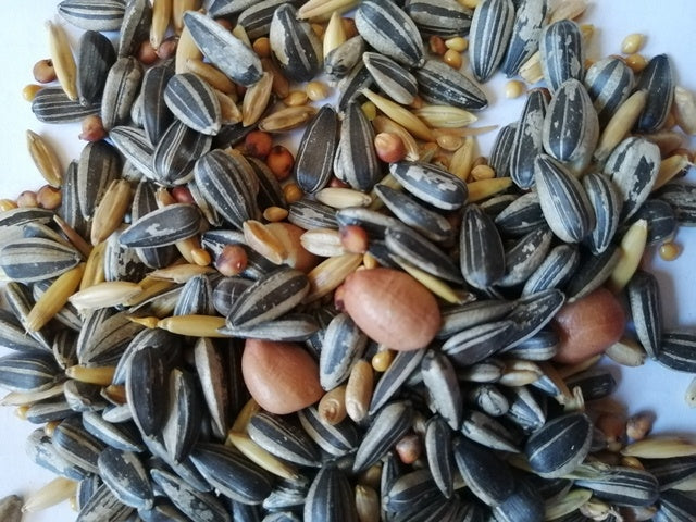 Cockatiel Seed Mix (select size for price)