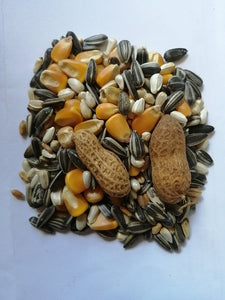 Plain Parrot seed mix