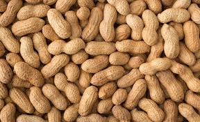 Peanuts in Shell (select size for price)