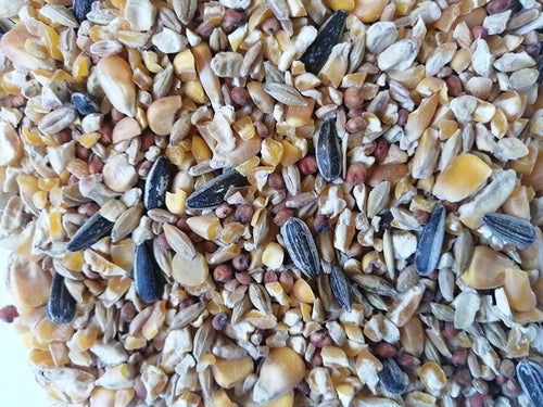 Poultry Seed Mix # 1