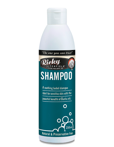 Ricky litchfield buchu shampoo 250ml