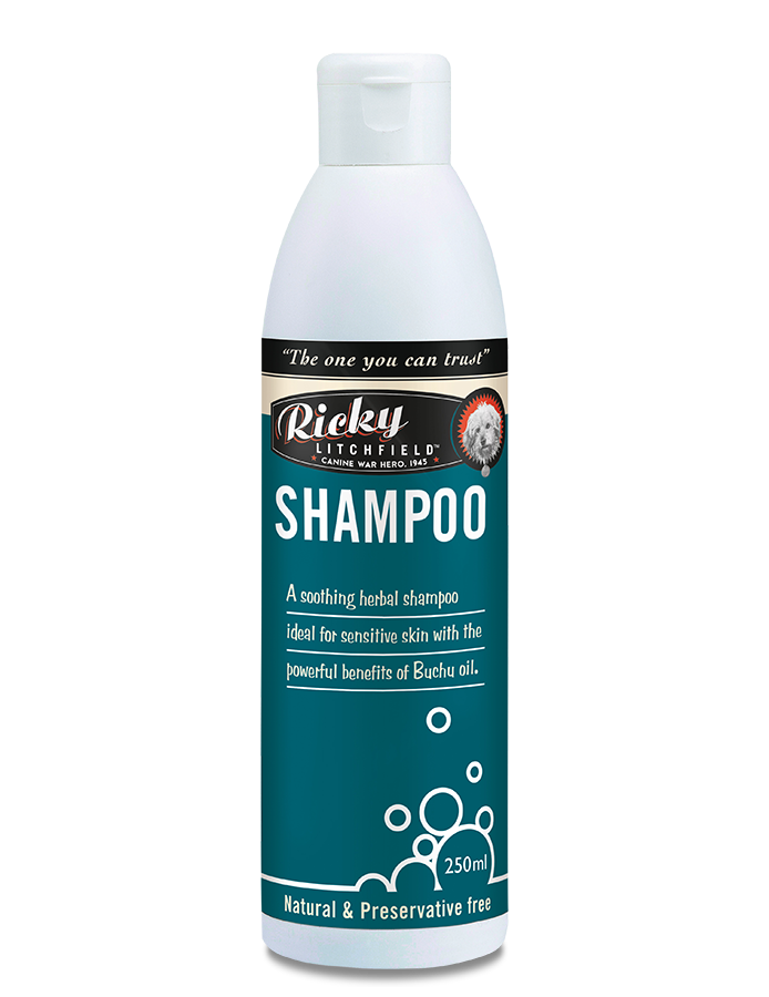 Ricky litchfield buchu shampoo 250ml