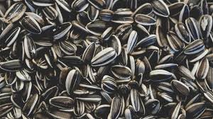 Striped Sunflower Seed (select size for price)