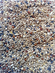 Wild Birds Seed (select size for price)